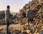 القوات الخاصة للأمن البيئي تضبط 30 طناً من الحطب المحلي المعد للبيع بالرياض