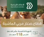 البيئة تودع أكثر من 118 مليون ريال لدعم المواشي ضمن برنامج الإعانات الزراعية
