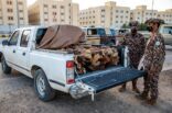 القوات الخاصة للأمن البيئي تضبط أكثر من 9 أطنان من الحطب المحلي المعد للبيع بالرياض