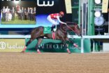كأس السعودية مستقبل صناعة الخيل المحلية بديربي السعودية