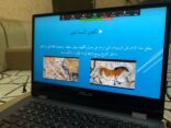 جمعية فنون الشمالية تنظم ندوة عن تاريخ الفن التشكيلي