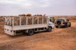 القوات الخاصة للأمن البيئي تضبط 10 مخالفين لنظام البيئة بمدينة الرياض