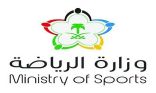وزارة الرياضة ترصد ٣٠ مخالفة لتطبيق البروتوكول الخاص بعودة الجماهير للملاعب