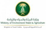 البيئة تستطلع آراء المستفيدين من قطاع الزراعة العضوية في أنحاء المملكة