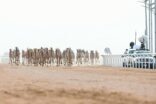 انطلاق مهرجان ولي العهد للهجن بنسخته الثالثة بالطائف