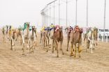 إثارة وندية حتى الأمتار الأخيرة بمنافسات اليوم الثالث من مهرجان ولي العهد للهجن