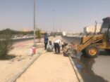 بلديه عريعرة تشرع بتنفيذ 3 مشاريع ضمن محاور معالجة التشوهات البصرية