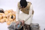 إحباط تهريب 233 كيلو جرام من الحشيش المخدر بالشرقية