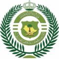 القبض على مواطنين بعد قيامهم بترويج المخدرات عبر مواقع التواصل الإجتماعي