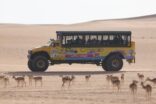 ناض طير و جض ريم في رياض سفاري