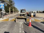 بلدية الخبر تبدأ بإزالة عيون القطط من الشوارع