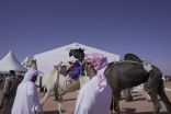 انطلاق فعاليات مهرجان الملك عبدالعزيز للإبل غداً بجوائز 250 مليون ريال