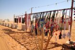 مهرجان الإبل.. أركان تفاعلية تعكس واقع البيئة الصحراوية