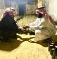 ناشط بيئي يتمكن من جلب ٦١٠٠شتلة بريه متنوعة وانشاء مشتلًا خاصًا بالنباتات البرية