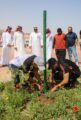 زراعة 150 شجرة بالتعاون مع نادي الثقبة الرياضي ومشاركة 20 متطوع ومتطوعة