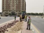 بلدية الخبر تبدأ بتهيئة 4 مواقع لزراعتها وتشجيرها بحي الجسر