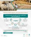 السجن 10 سنوات وغرامة 10 ملايين ريال عقوبة التسبب عمداً بتداول منتج علفي ضار بالصحة أو مغشوش أو ممنوع