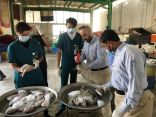 زراعة الشرقية تنهي من عمليات تفتيش رقابية على أسواق الأسماك