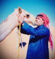 الإعلامي معيض العتيبي يبحر في عالم الإبل عبر مساحة تويترية