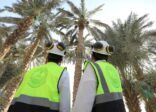 بوابة الدرعية تطلق برنامج تطوير مهندسي الدرعية