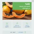 40% الاكتفاء الذاتي للمملكة من فاكهة البابايا بإنتاج سنوي يتجاوز 3.8 ألف طن