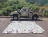 حرس الحدود بجازان يحبط محاولة تهريب 300 كيلو جرام من مادة الحشيش المخدر
