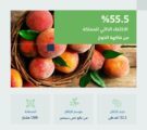 المملكة تنتج 22.2 ألف طن من الخوخ سنويًّا وتحقّق اكتفاءً ذاتيًّا بنسبة 55.5%