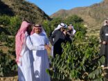 الويمني يزور جمعية البن والنحالين ومزارع  رجال المع