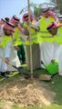 بلدية الجبيل تزرع 1400 شجره بالحدائق والمتنزهات ضمن مبادرة شرقية خضراء
