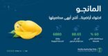 الإنتاج المحلي من المانجو يتجاوز 88.6 ألف طن سنويًا محققًا60 % نسبة اكتفاء ذاتي