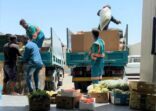 مصادرة ٤ أطنان من البضائع المختلفة من الباعة الجائلين المخالفين بالدمام