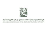 الفرق الميدانية بمحمية الملك سلمان تواصل جهودها لحصر و إخراج الحيوانات السائبة