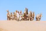 5 منقيات شقح و10 بكار وقعدان حيران تستعرض أمام لجنة التحكيم النهائي اليوم
