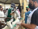 وقاء عسير يطلق حملة جزلة للتعريف بالطرق الصحيحة لاختيار الأضاحي