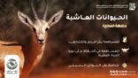 هيئة تطوير محمية الملك سلمان تواصل حملة نعتمد على وعيك