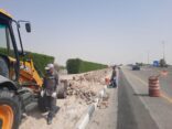 بلدية بقيق تبدأ في إعادة تأهيل وإنشاء 3 مواقع مضامير للمشاة بعدد من المواقع