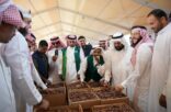 مزاد مهرجان العلا للتمور تظاهرة اقتصادية وثقافية يقصدها المستثمرون من أنحاء العالم