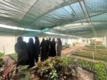 أمانة الشرقية تنفذ مبادرة بيئتي خضراء تزامنا مع اليوم العالمي للصحة النباتية