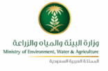 استيراد وتجميع 135 موردًا وراثيًا من الأقماح المحلية تمهيدًا لزراعتها بالمملكة