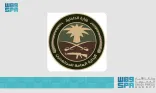 دوريات الإدارة العامة للمجاهدين بمنطقة جازان تحبط تهريب (19) كيلوجرامًا من نبات القات المخدر