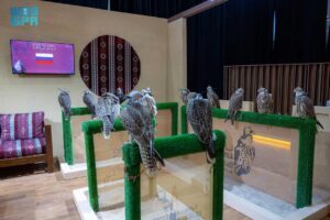 مزرعة “آر يو في إس” الروسية تسجل مشاركتها الأولى في المزاد الدولي لمزارع إنتاج الصقور 2025