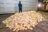 الزكاة والضريبة والجمارك” في منفذ البطحاء تُحبط محاولة تهريب أكثر من 4 ملايين حبة كبتاجون مُخبأة في إرسالية “أفران
