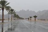 “”الأرصاد” : أمطار متوسطة إلى غزيرة على العلا وينبع والرايس الأربعاء