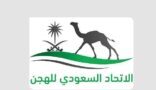 مجلس إدارة الاتحاد السعودي للهجن يعتمد سباقات الميادين