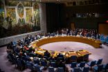 مجلس الأمن الدولي يدين انقلاب النيجر ويدعو إلى الإفراج عن الرئيس محمد بازوم
