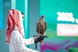 بيع ٣ صقور إيرلندية في الليلة الخامسة لمنصة المزاد الدولي لمزارع إنتاج الصقور
