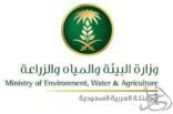 البيئة تطرح المخطط العام لمشاريع الدواجن في بيشة للاستثمار عبر منصة أراضي