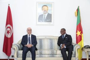 رئيس الحكومة الكاميرونية يلتقي وزير الخارجية التونسي