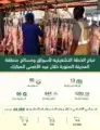 بيئة المدينة المنورة تعلن عن نجاح الخطة التشغيلية للأسواق والمسالخ وذبح أكثر من (44) ألف أضحية