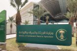 بيئة عسير تتفقد أسواق الخضار والمسالخ في محايل والمجاردة